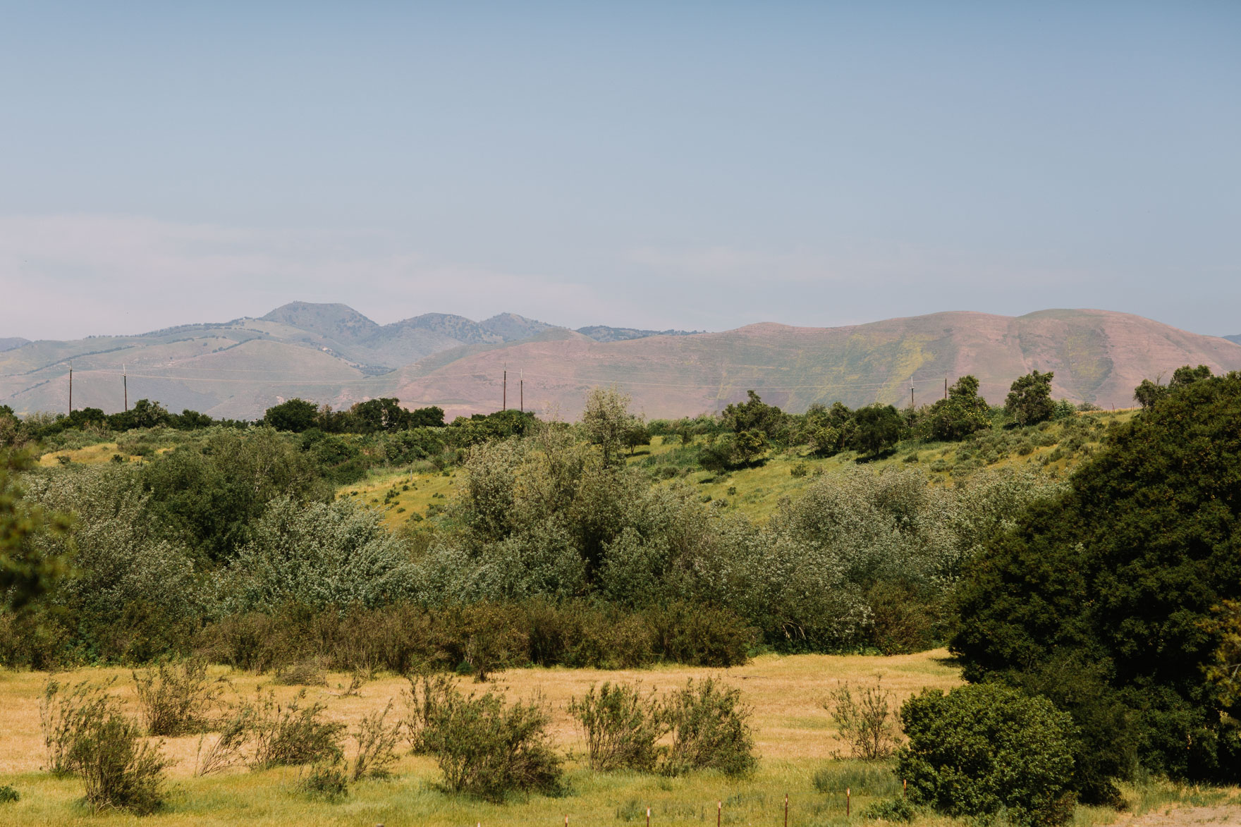 A Vineyard & Backyard Bash – Photo by Let's Frolic Together