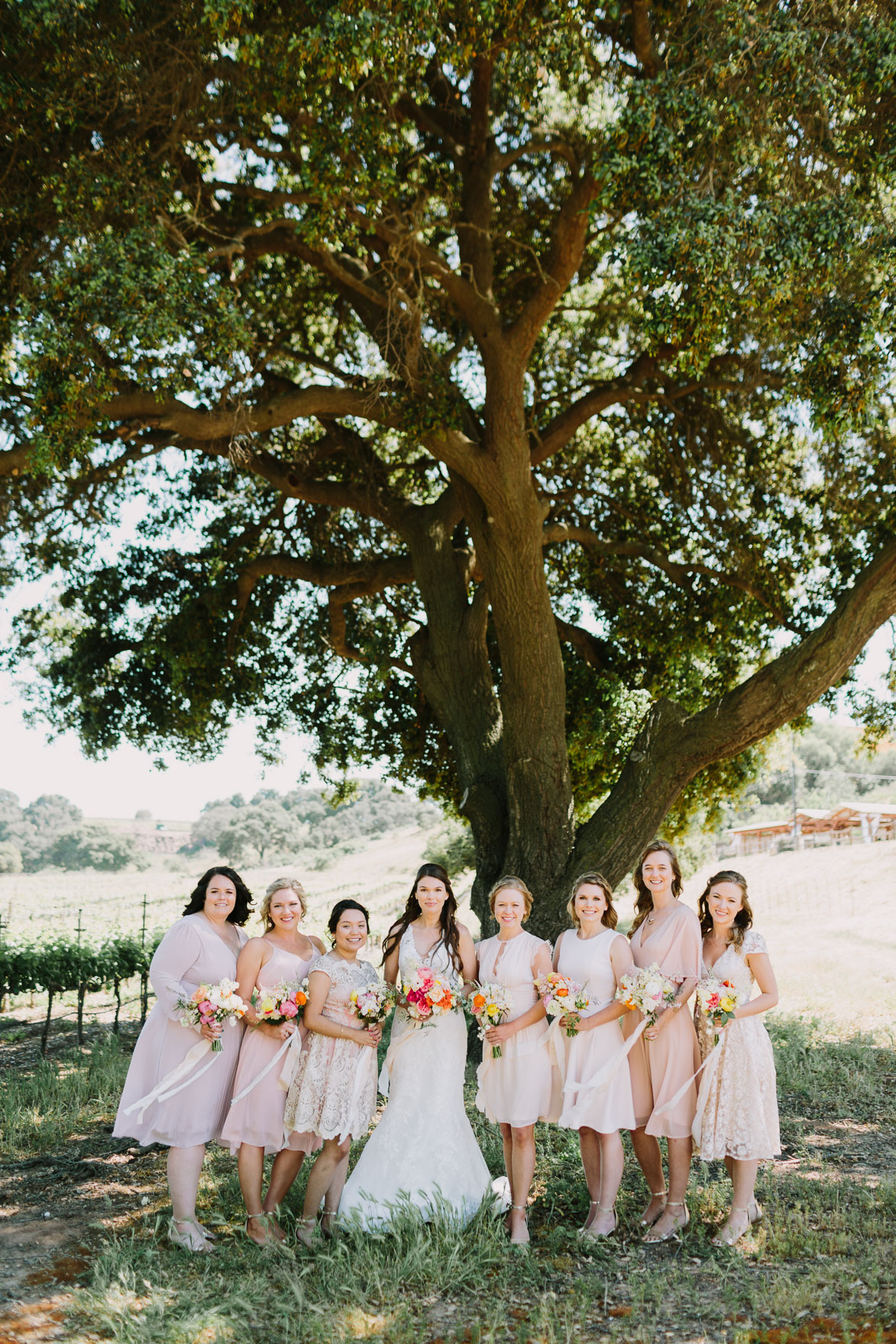 A Vineyard & Backyard Bash – Photo by Let's Frolic Together