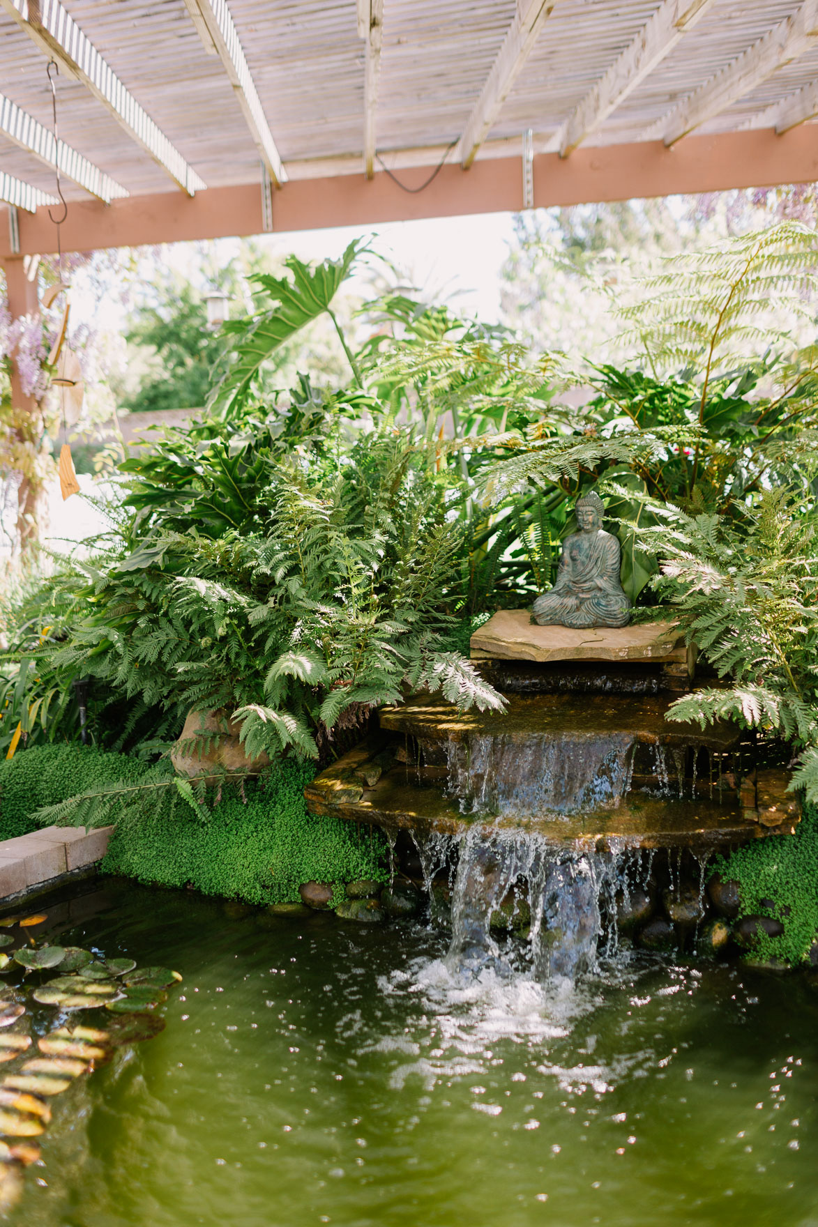 A Vineyard & Backyard Bash – Photo by Let's Frolic Together