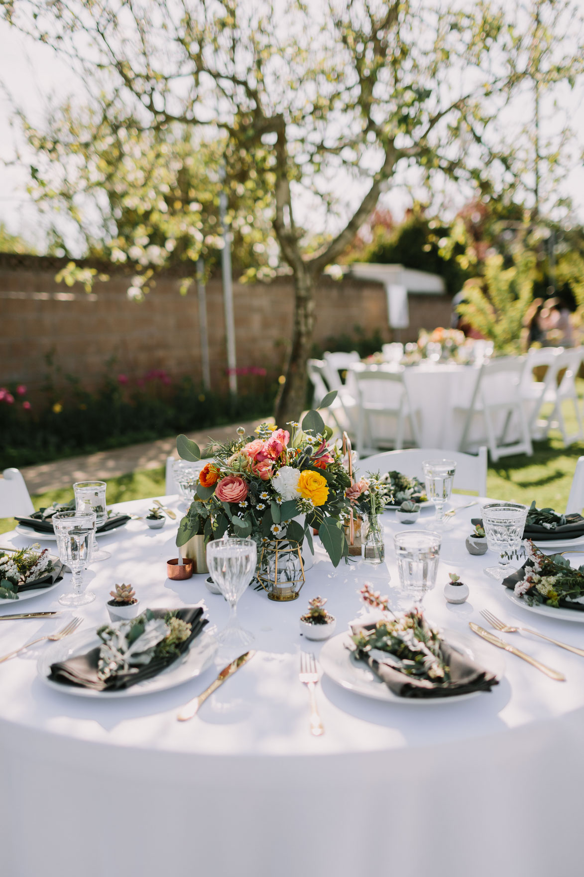 A Vineyard & Backyard Bash – Photo by Let's Frolic Together