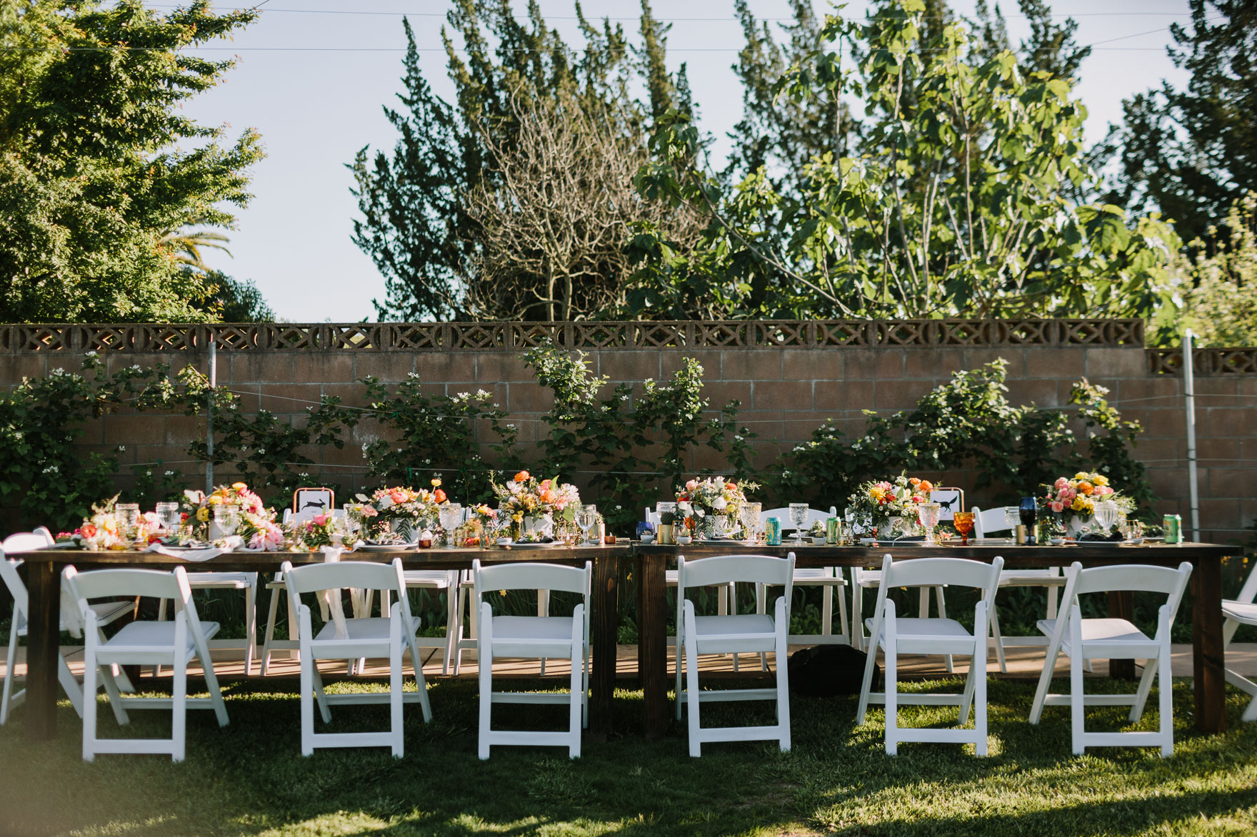 A Vineyard & Backyard Bash – Photo by Let's Frolic Together