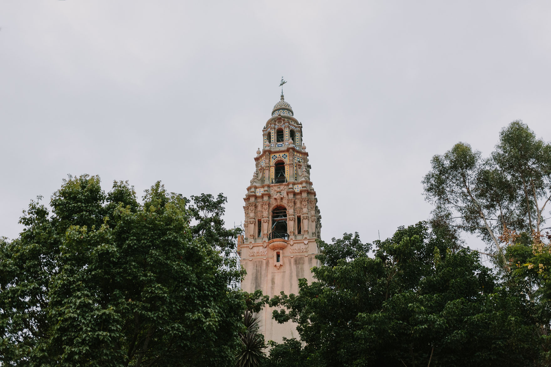 Beer and Gardens in San Diego – Photo by Let's Frolic Together