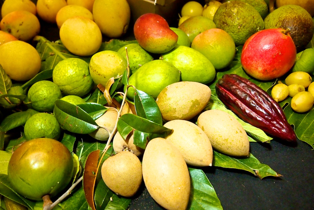 ‘Fruit Hunters’ revisited