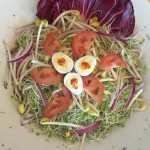 Localicious birds nest salad