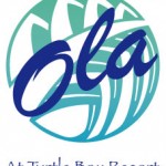Ola Logo 2