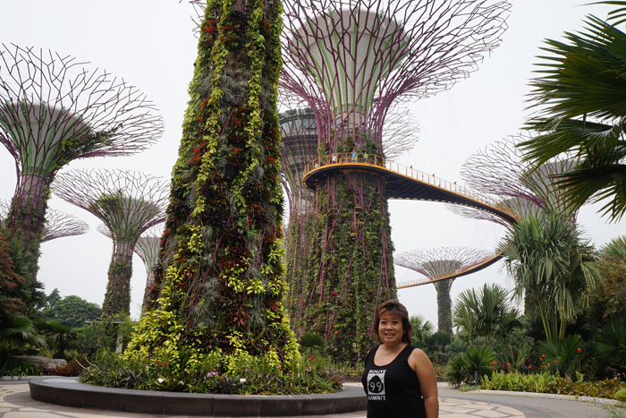 The Supertree Grove at the Gardens by the Bay, the most visible and photographed part of the attraction.