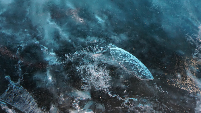 It's so cold in Iceland that water freezes pretty quickly. We saw a few bubbles like these, frozen in mid-rise.