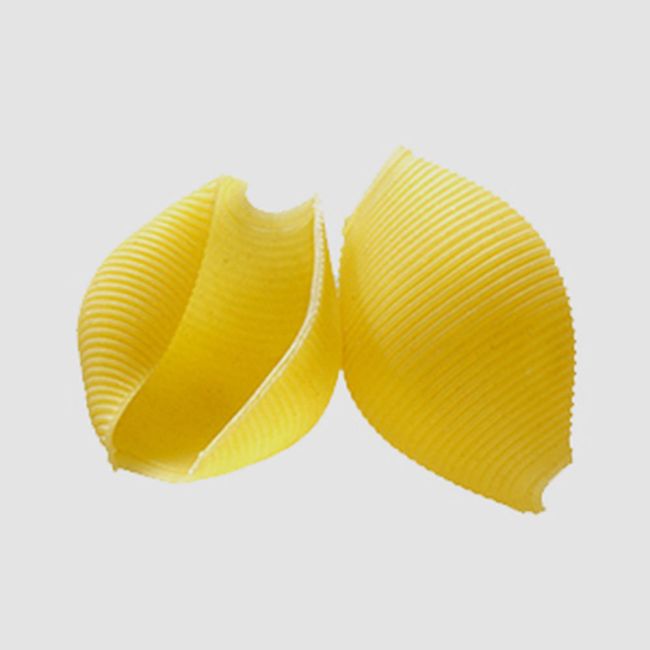 Grisspasta Jumbo Shell Pasta, 4.54 Kg