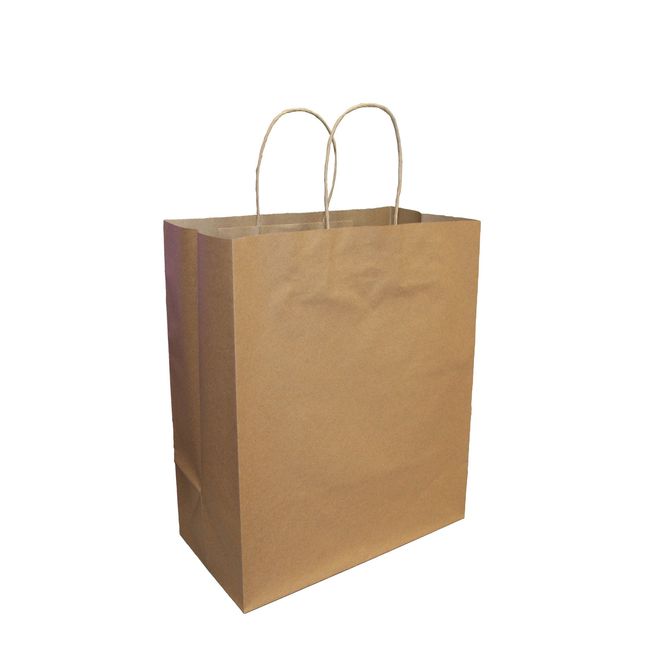 Viro Kraft Paper Shopping Bag With Twisted Handle, 8.25 X 4.75 X 10.5 In -- 250 Per Case