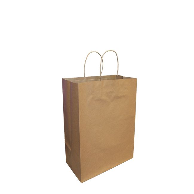 Viro Kraft Paper Shopping Bag With Twisted Handle, 5.25 X 3.25 X 8.5 In -- 250 Per Case