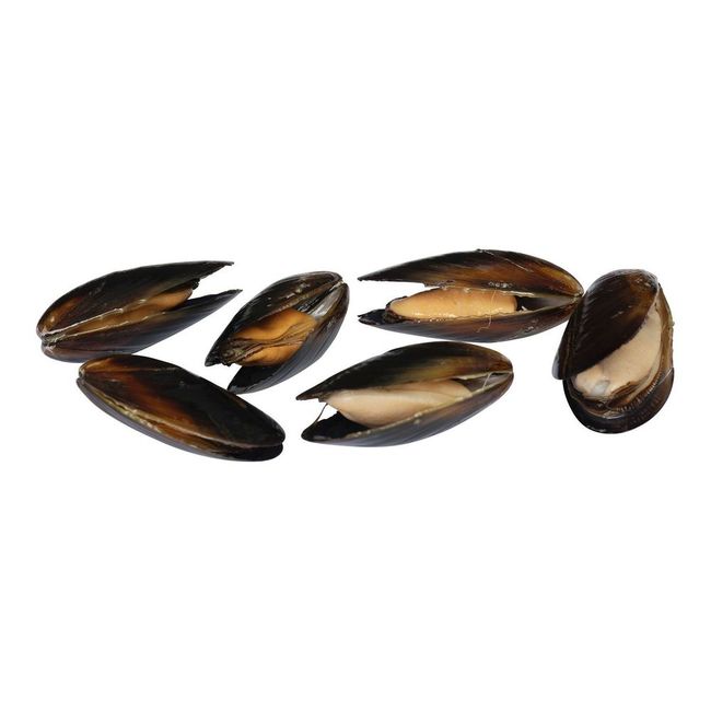 Product gallery 63420613