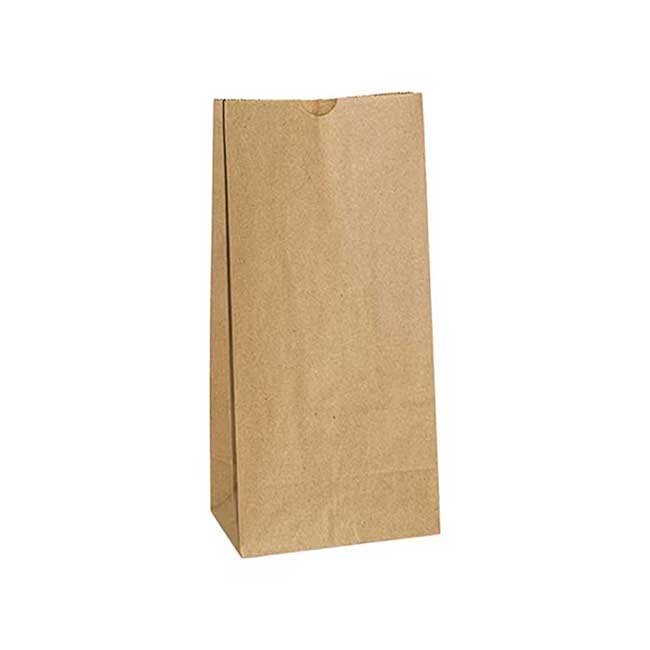 Gallipack Kraft Paper Bag, 10 Lb Capacity -- 500 Per Case