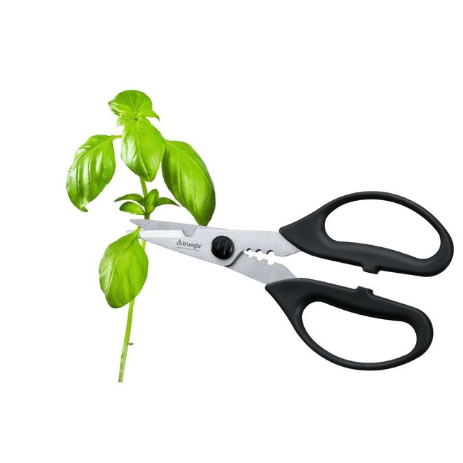 Triangle Professional Kitchen And Herbal Scissor