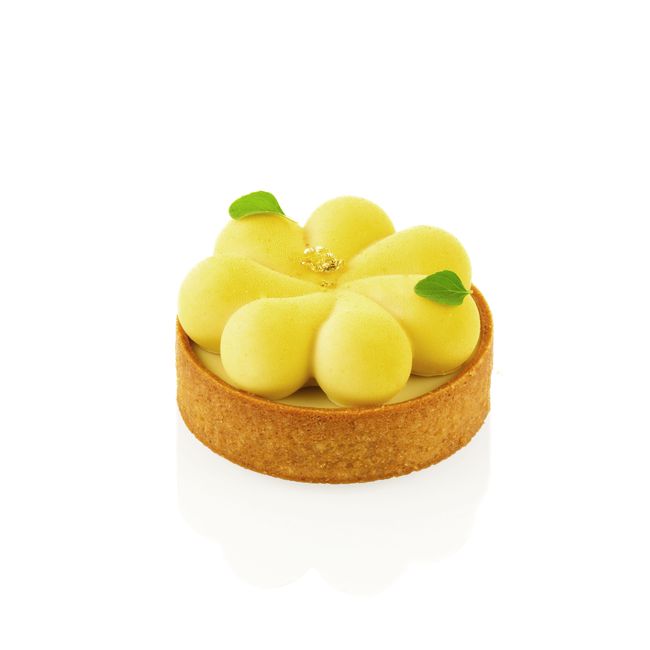 Product gallery 184496542