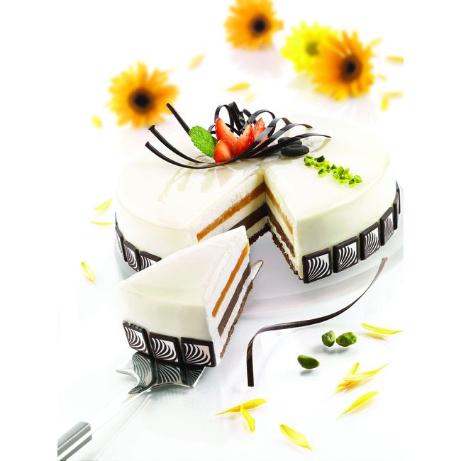 Product gallery 444530909