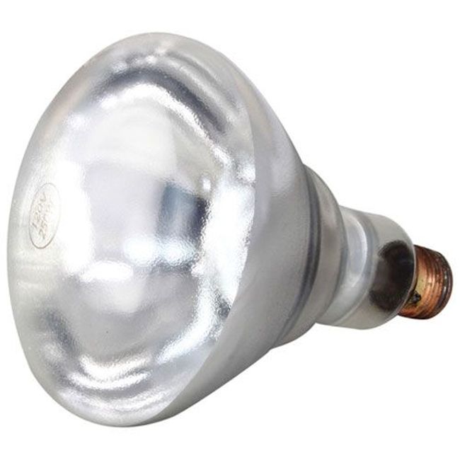 Allpoints All381136 Clear 120 Volts 250 Watts Infrared Lamp, 12 Count