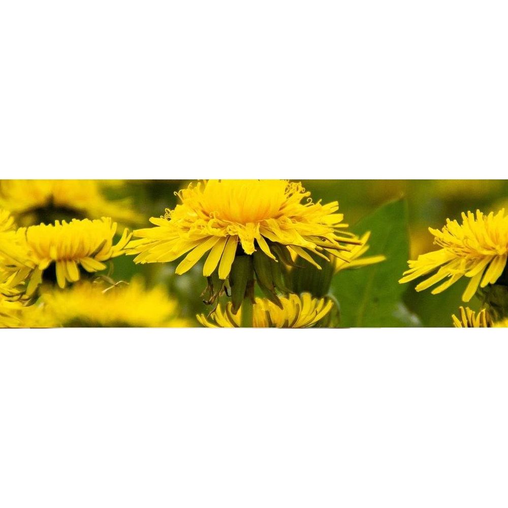 Product gallery 835063127