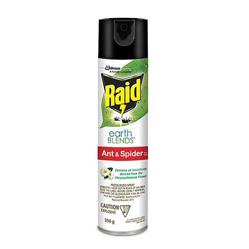 Raid Essentials Ant And Spider Bug Killer Spray, 350 G -- 12 Per Case