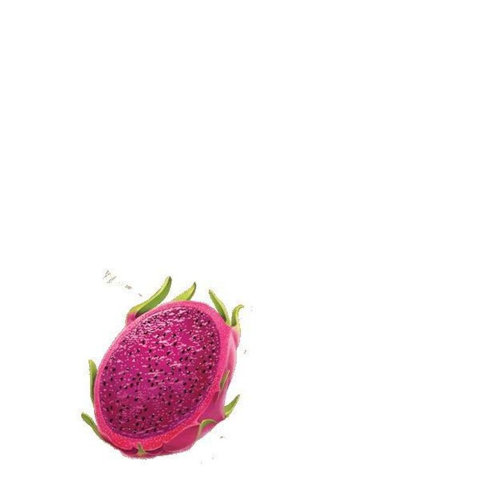 Rubicon Exotic Sparkling Dragon Fruit Drink, 355 Ml -- 24 Per Case