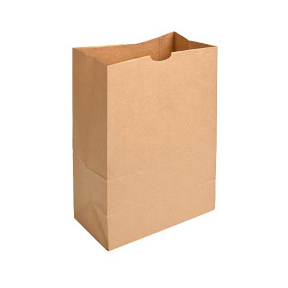 Eco-systems Sac En Papier Kraft, 12 X 7 X 17 Po -- 400 Par Caisse