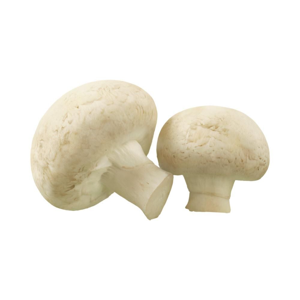 Pennsylvanie Paris Mushroom, 2.27 Kg