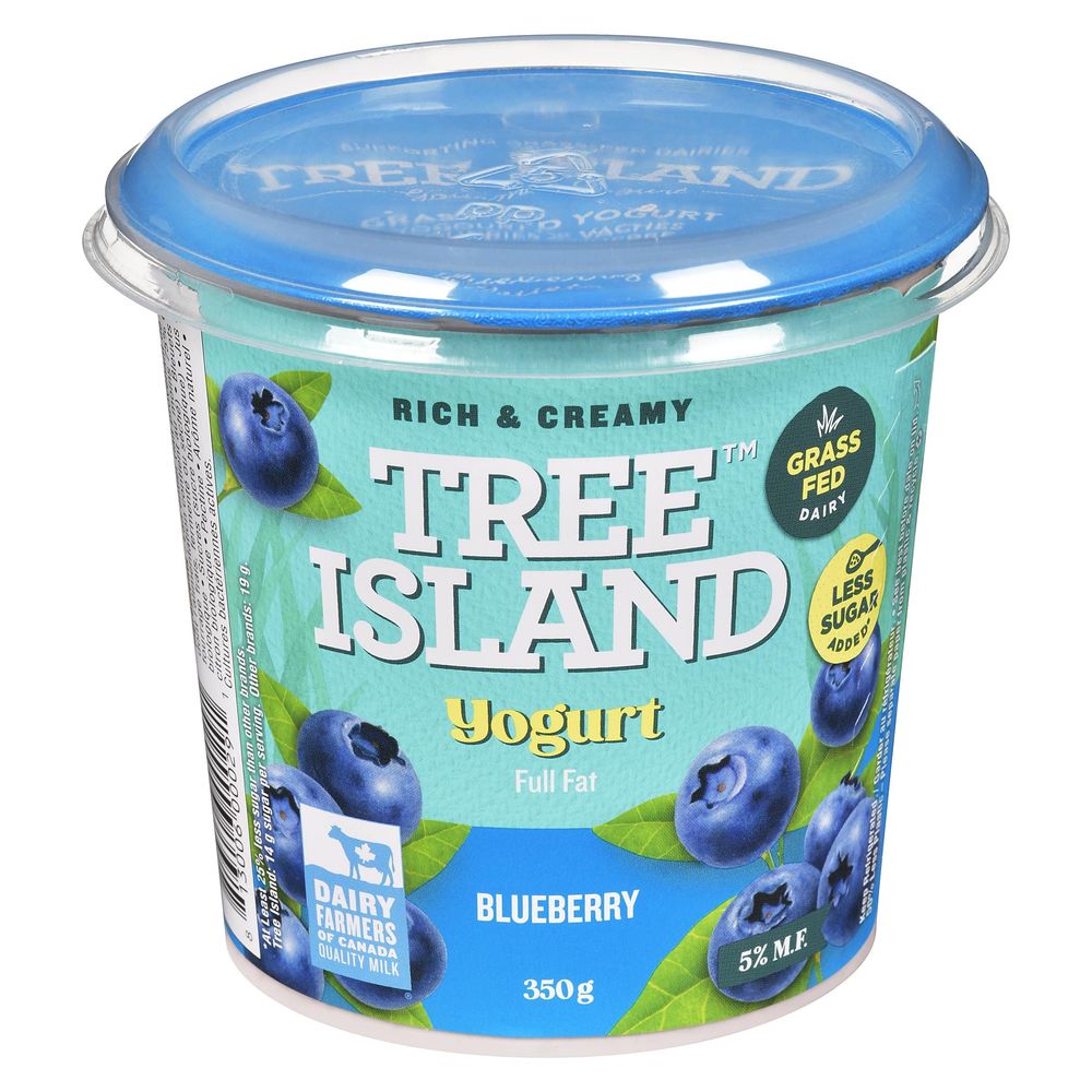Tree Island 5 Percent Milk Fat Blueberry Yogurt, 350 G -- 6 Per Case