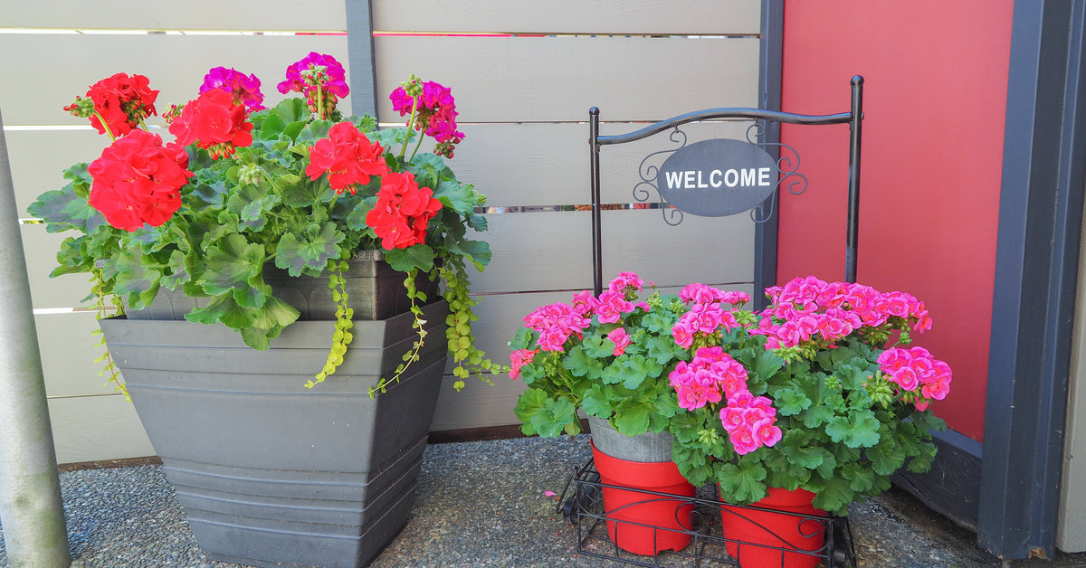 1511 N Dairy Road, Victoria, BC V8T 3T9 Rela