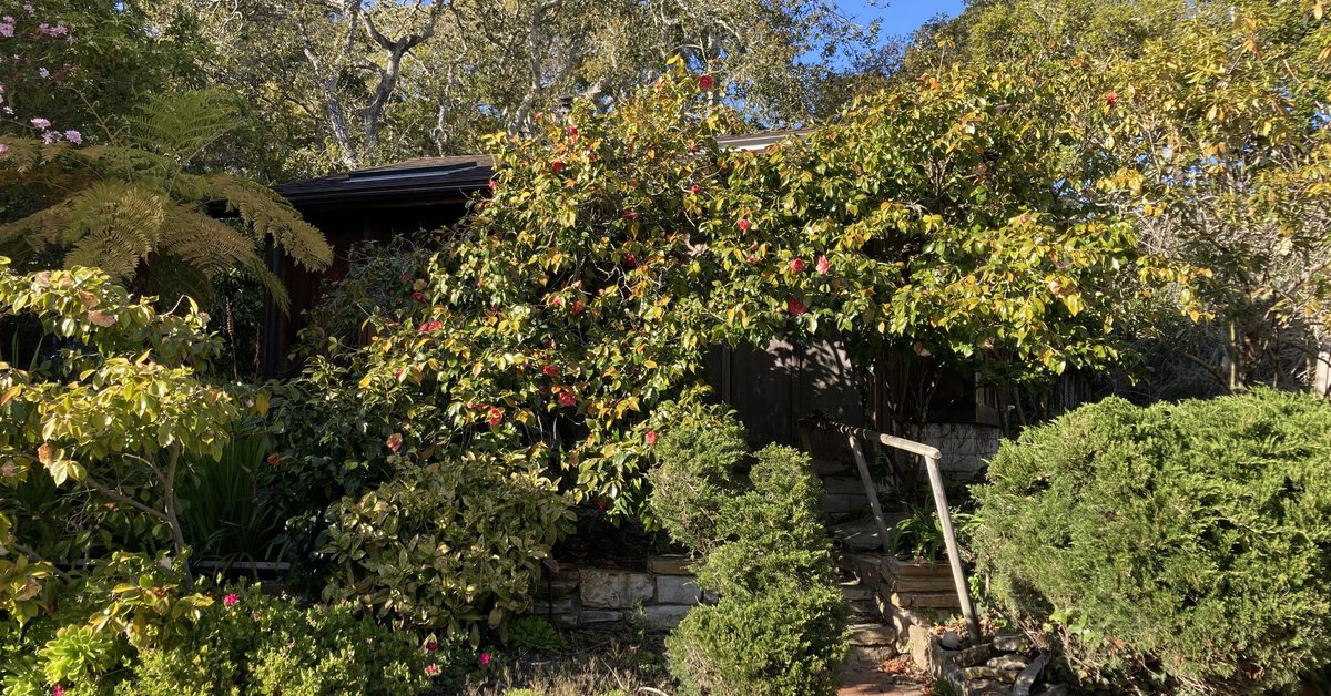 25700 Shafter Way, Carmel, CA 93923 Rela