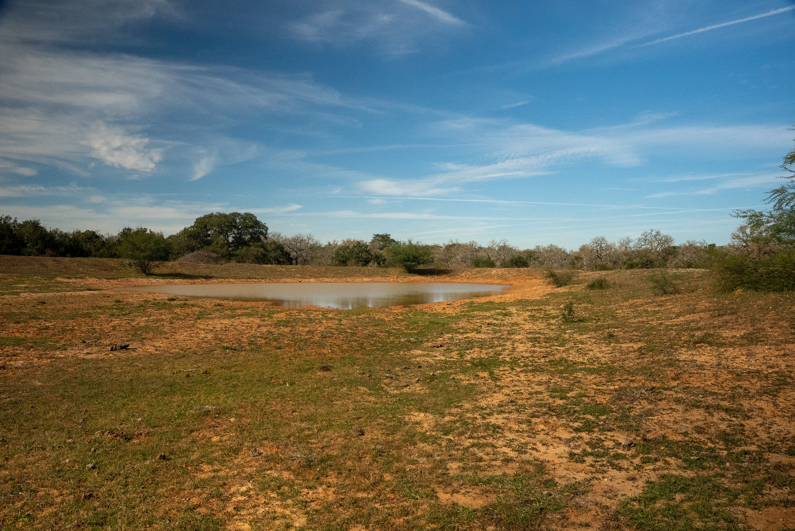 County Road 146, Hallettsville, TX 77964 Kuper Sotheby's