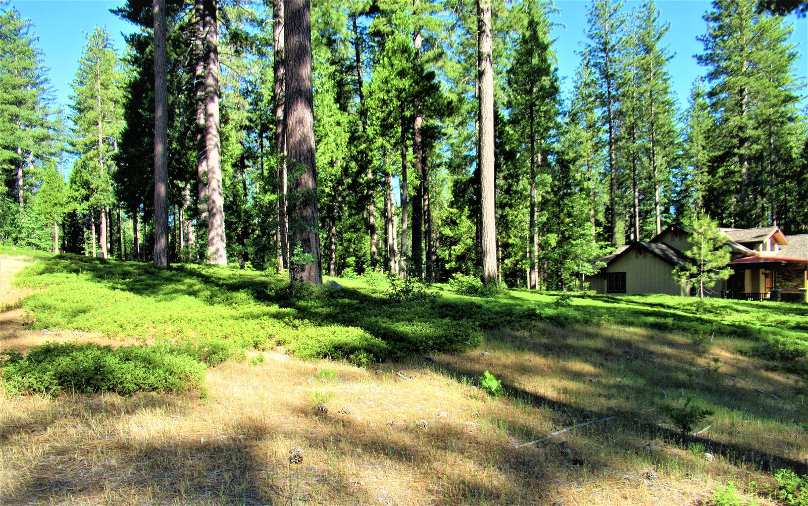 26 Cedar Ridge, Avery, CA 95223 Rela