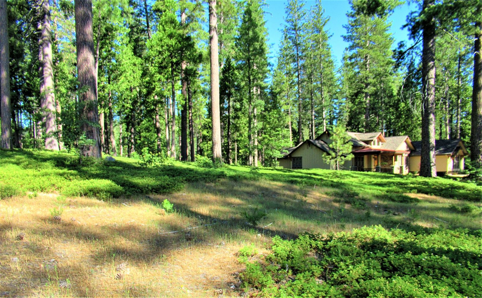 26 Cedar Ridge, Avery, CA 95223 Rela