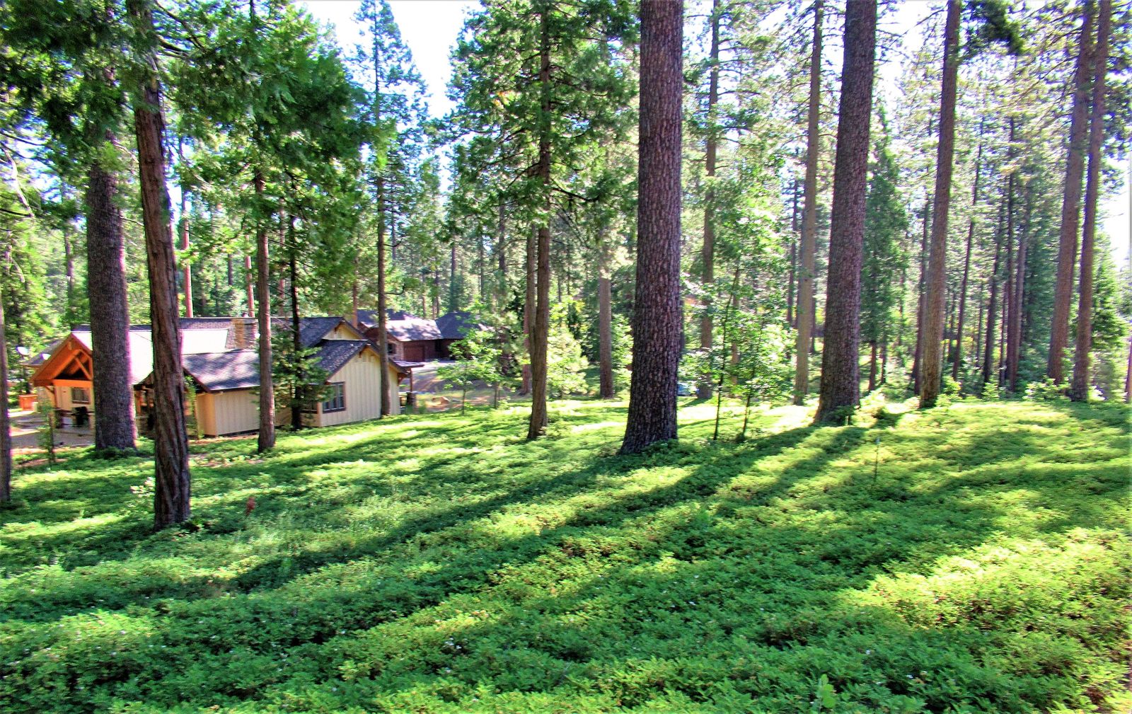 26 Cedar Ridge, Avery, CA 95223 Rela