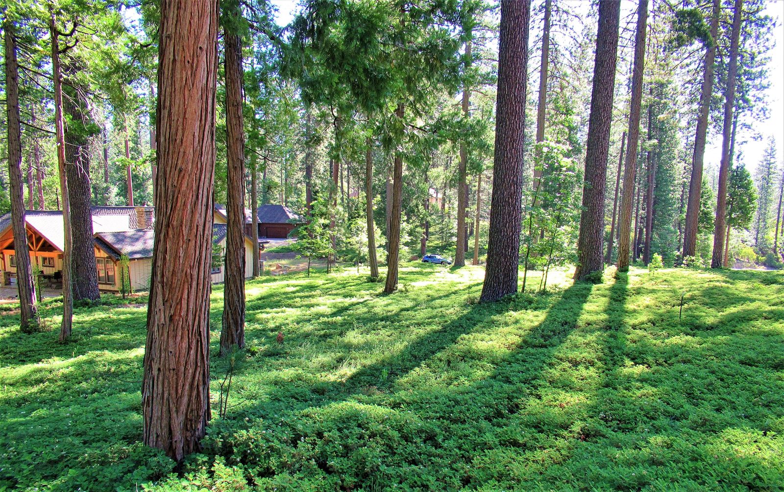 26 Cedar Ridge, Avery, CA 95223 Rela