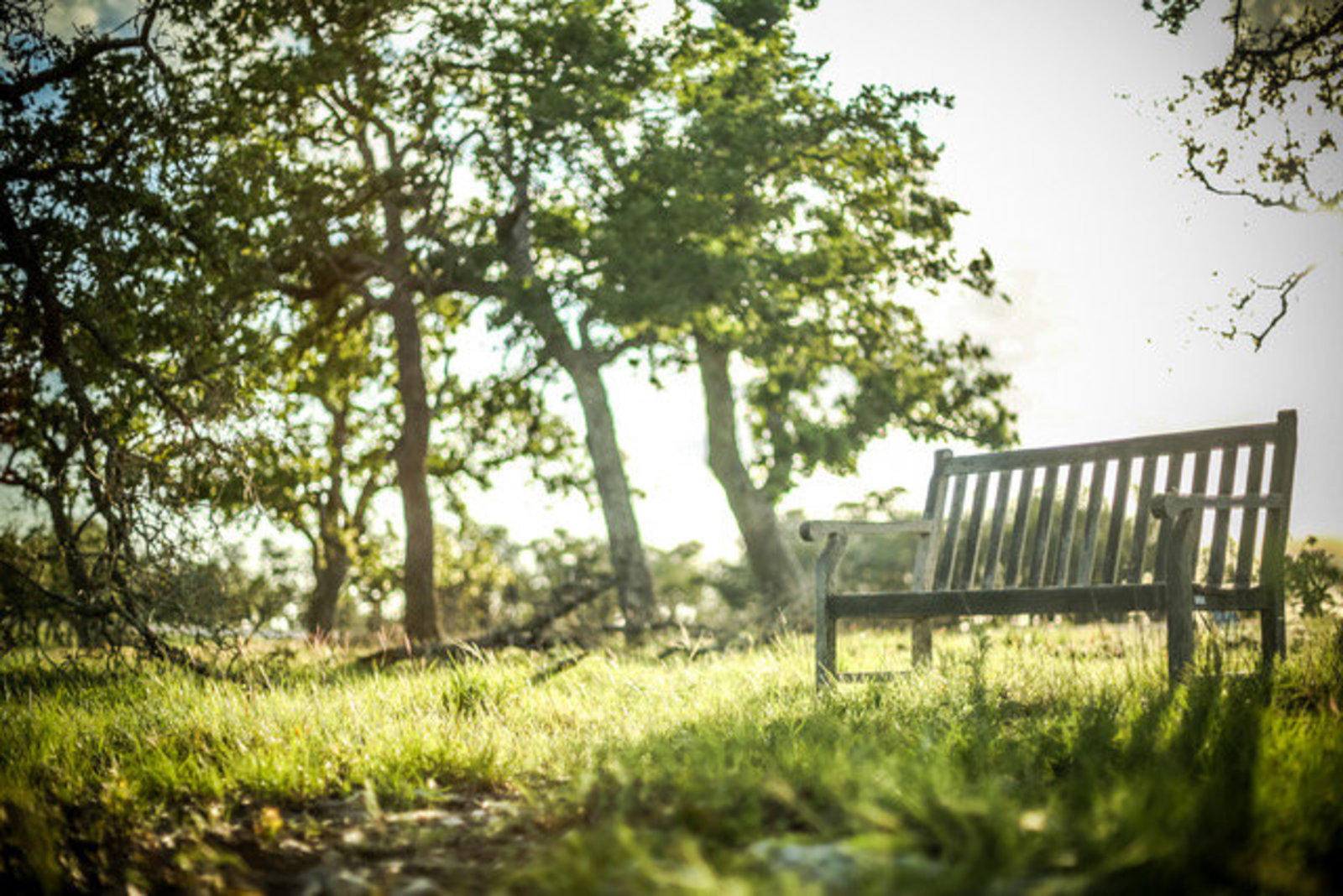 Lot 116 Majestic Hills Ranch , Blanco, TX 78606 Kuper Sotheby's