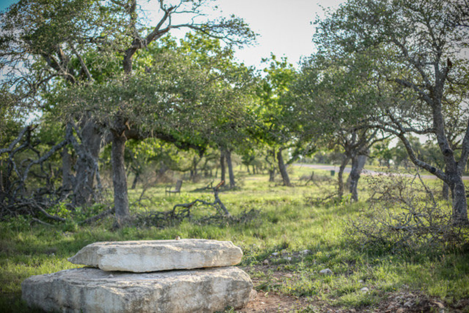 Lot 116 Majestic Hills Ranch , Blanco, TX 78606 Kuper Sotheby's