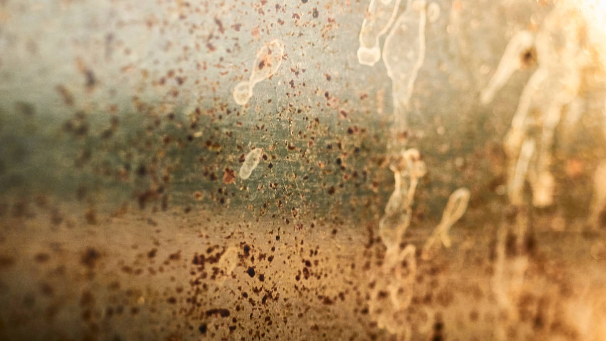 How To Clean Between Oven Glass Cleaning Oven Door Glass