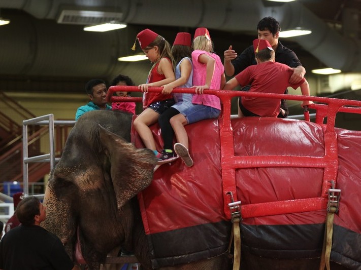 2018 El Zaribah Shrine Circus Tickets At The Westworld Equidome In