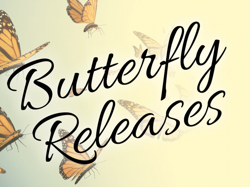 Elizabethan Gardens Event tickets Yapsody