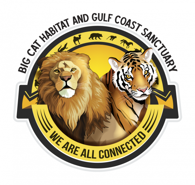 Big Cat Habitat Event tickets Yapsody