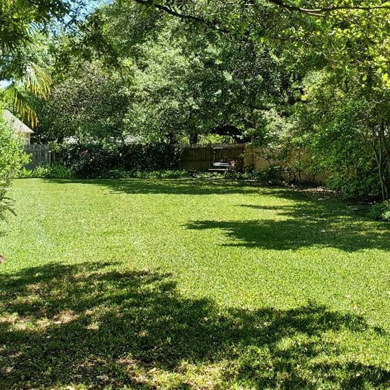 How many times a week should I water my lawn in Florida