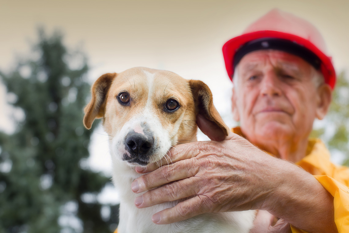 The People & Companies Helping Fire Departments Save Pets Image