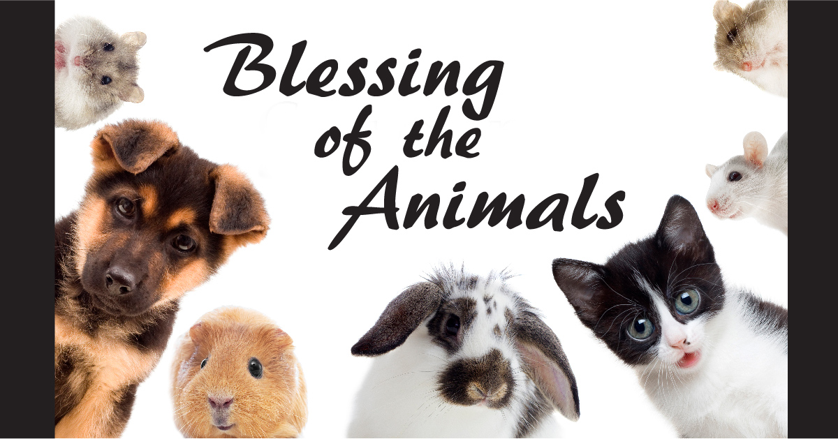 Image result for blessing of the animals