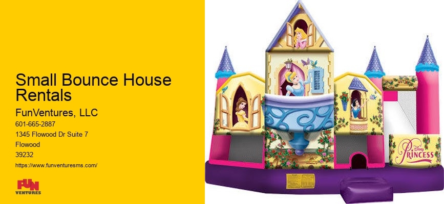 Bounce House Rentals Within 20 Mi