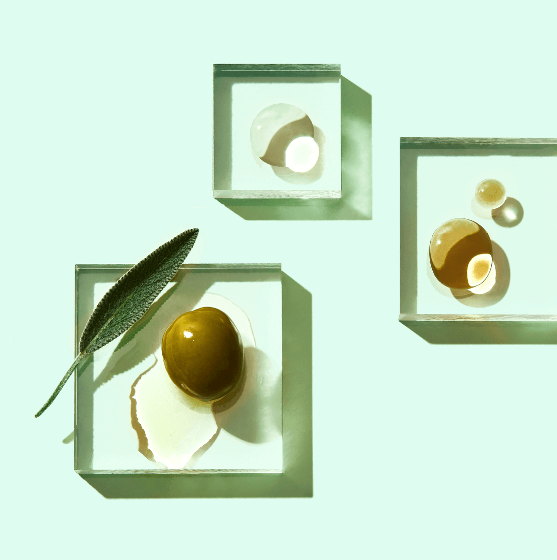 Customized Skin Moisturizer Function of Beauty