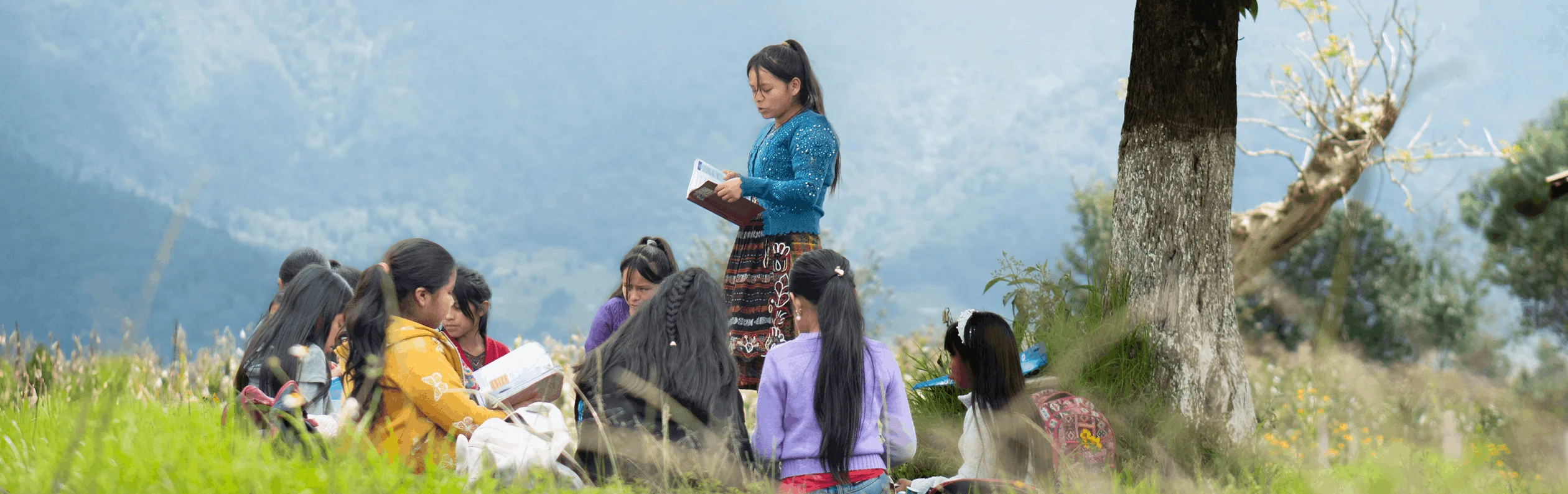 Programa Educación