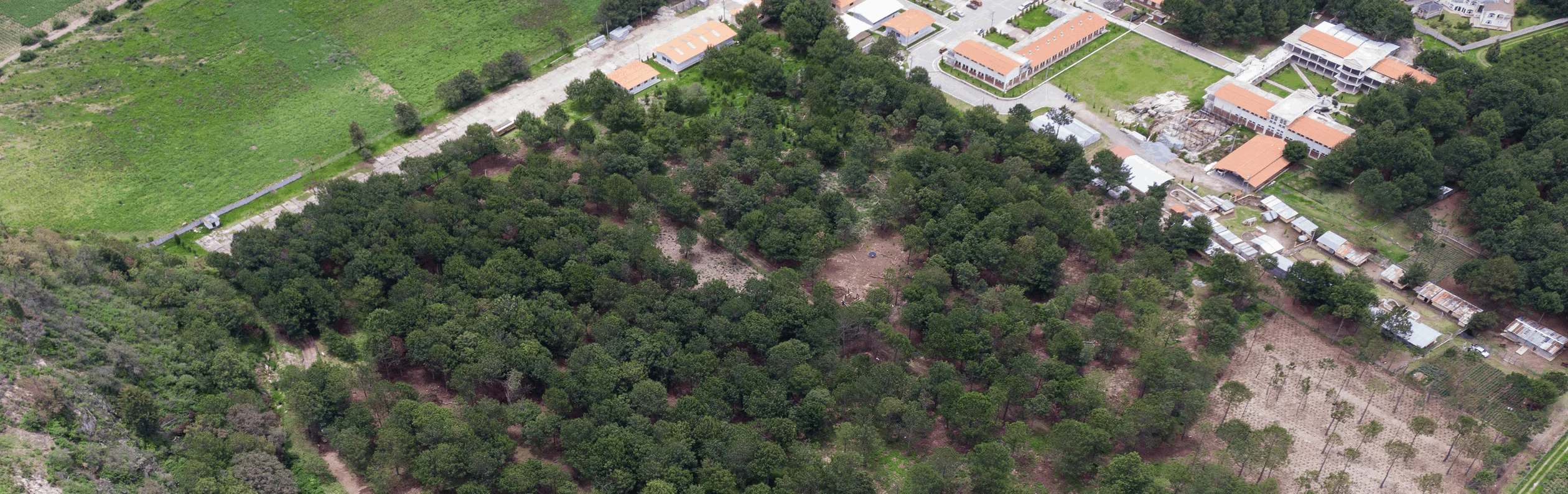 Programa Forestal Ambiental