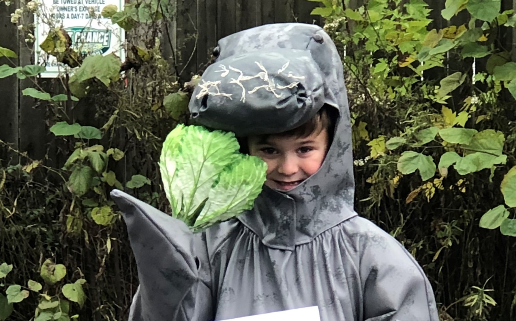 Charley's Swim to Save The Manatees! | Fundly