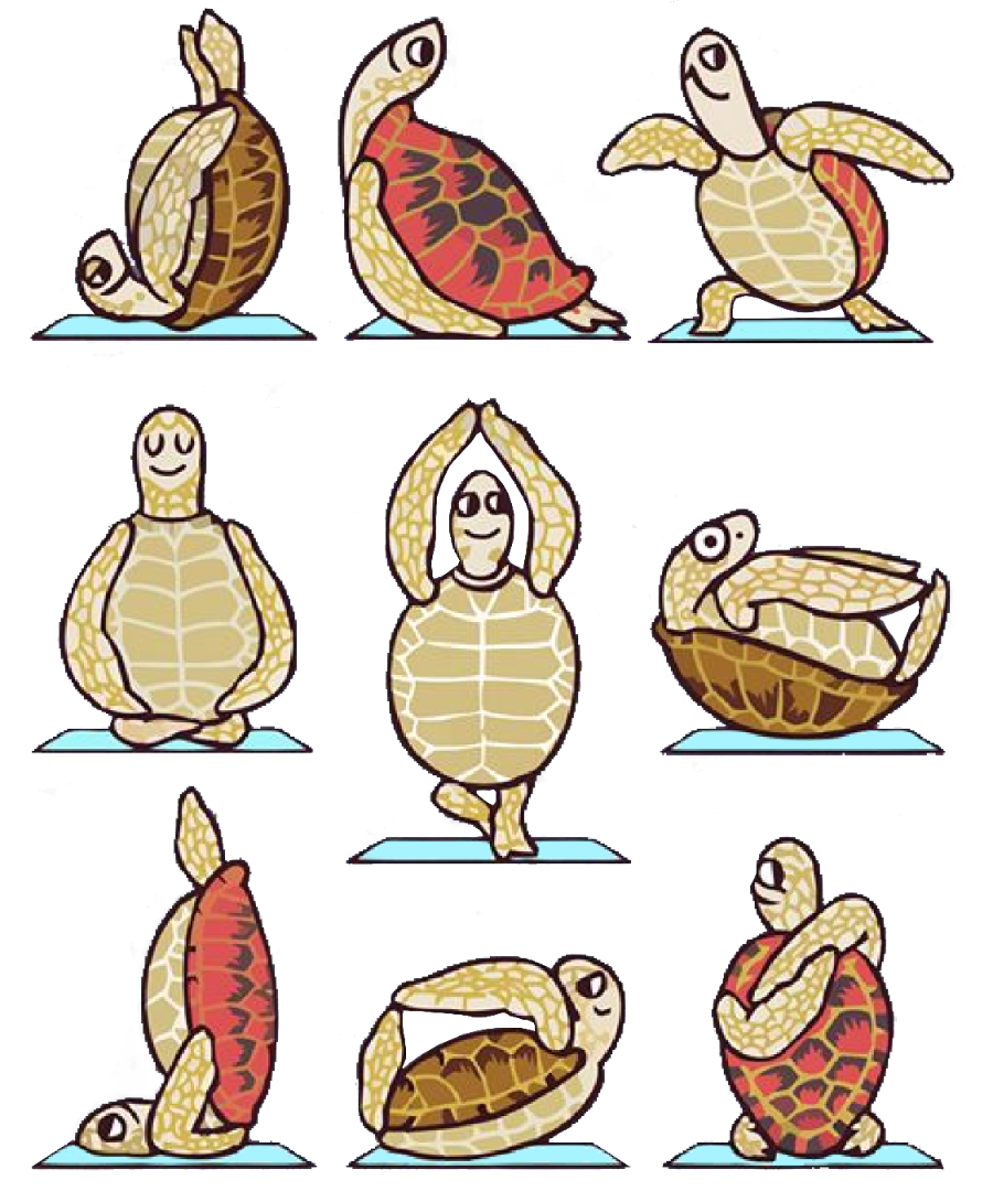 TURTLE YOGA Fundly