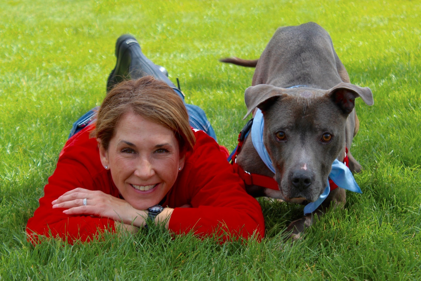 Walk for Paws 2017 BVSPCA Fundly