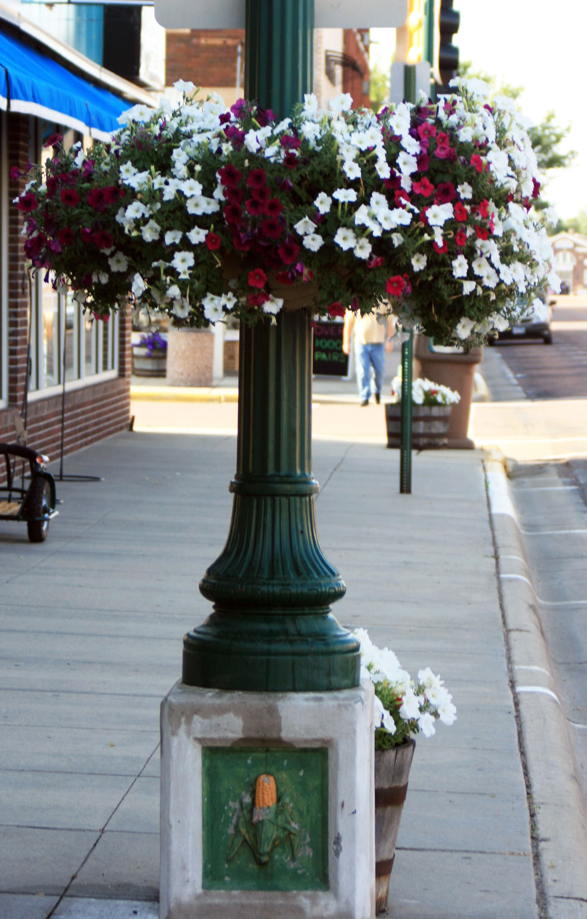 Downtown Flower Planters Fundly